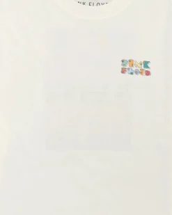 CAMISETA PINK FLOYD INTHEBOX